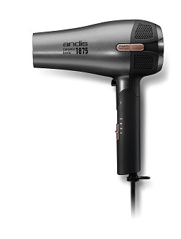 Andis Fold-n-go Ceramic Ionic Dryer