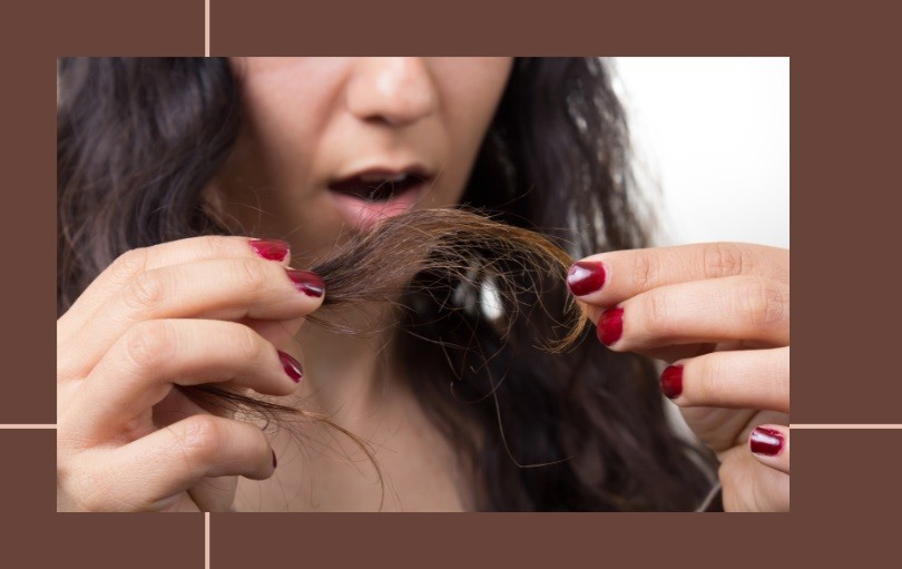 Do Split Ends Stop Hair Growth