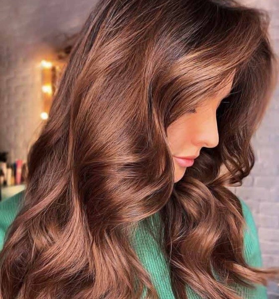 Chestnut Highlights