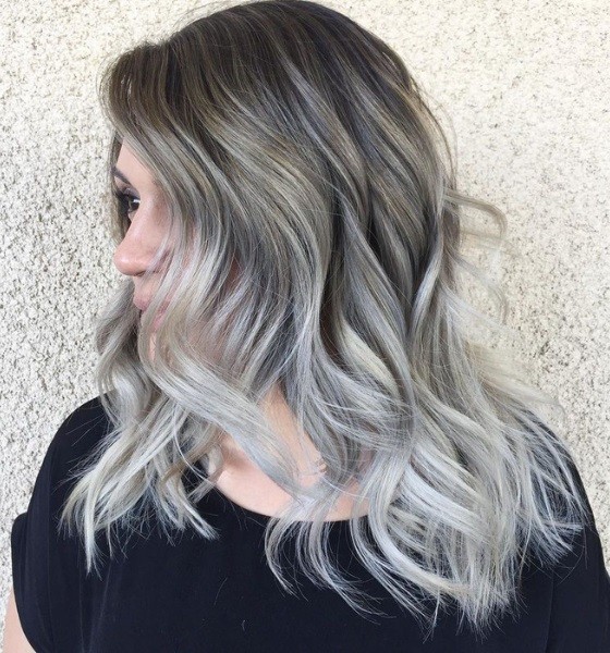 Silver Highlights