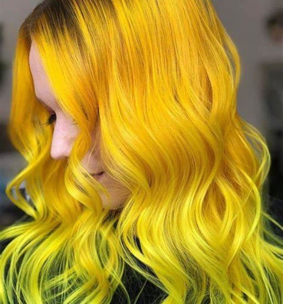 Sunflower Yellow Highlights