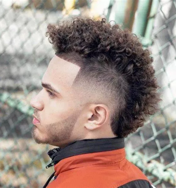 Burst Fade Curly Haircut