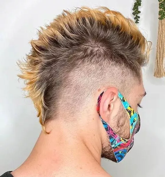 Mohawk Tail Fire Haircut