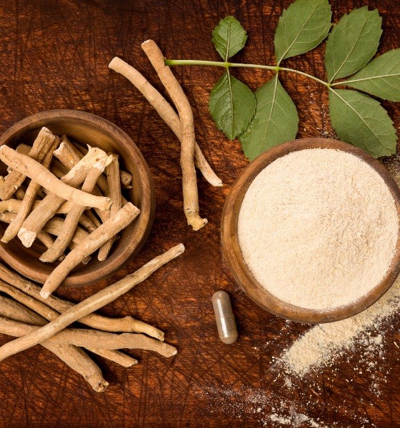 Properties And Composition Of Ashwagandha