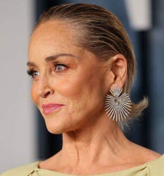 Sharon Stone Short Slicked Back Haircut photo