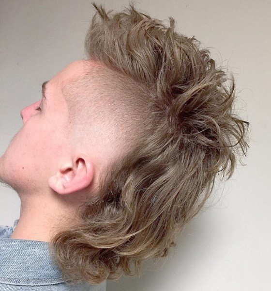 The Mullet Hawk Haircut photo