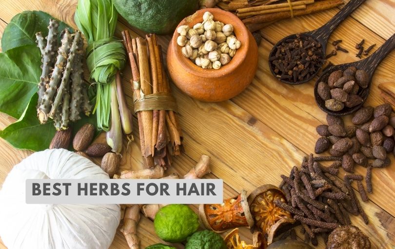 best herbs for hair