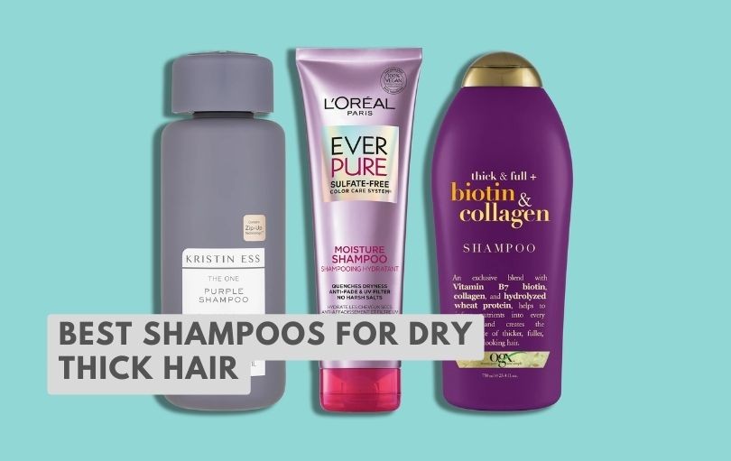 best shampoos for dry thick hair