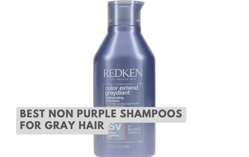 best non purple shampoos for gray hair