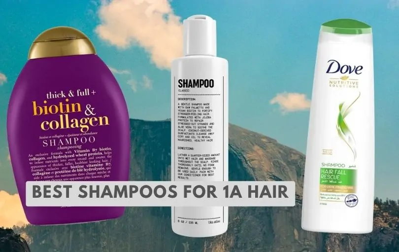 best shampoos for 1a hair