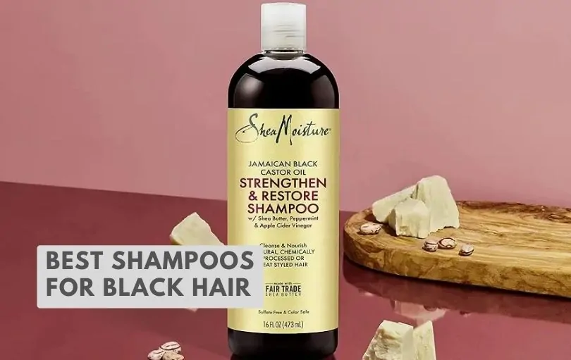 best shampoos for black hair