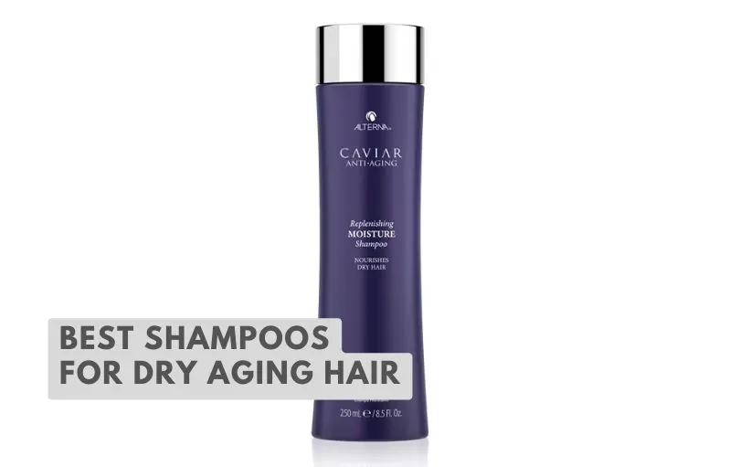 best shampoos for dry aging hair