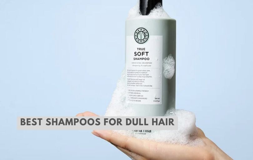 best shampoos for dull hair