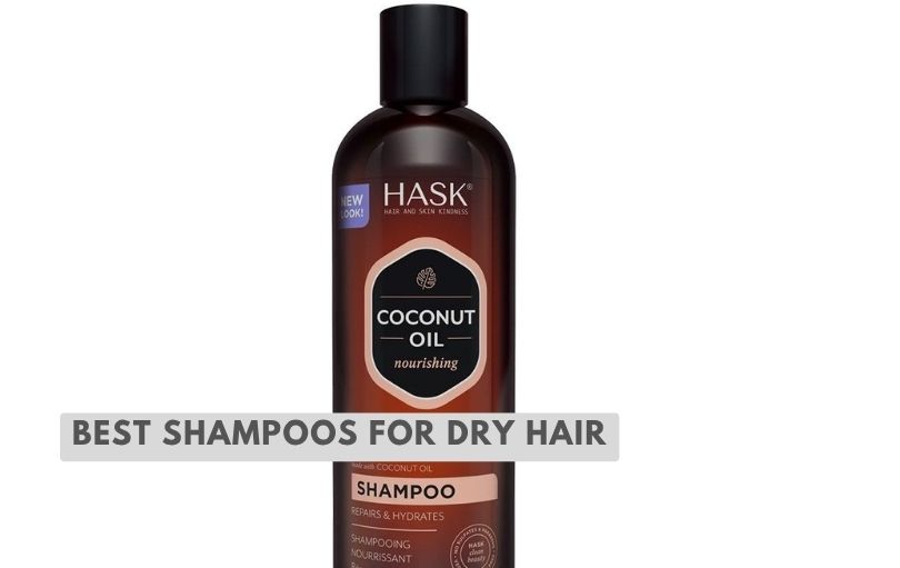 best shampoos for dry hair
