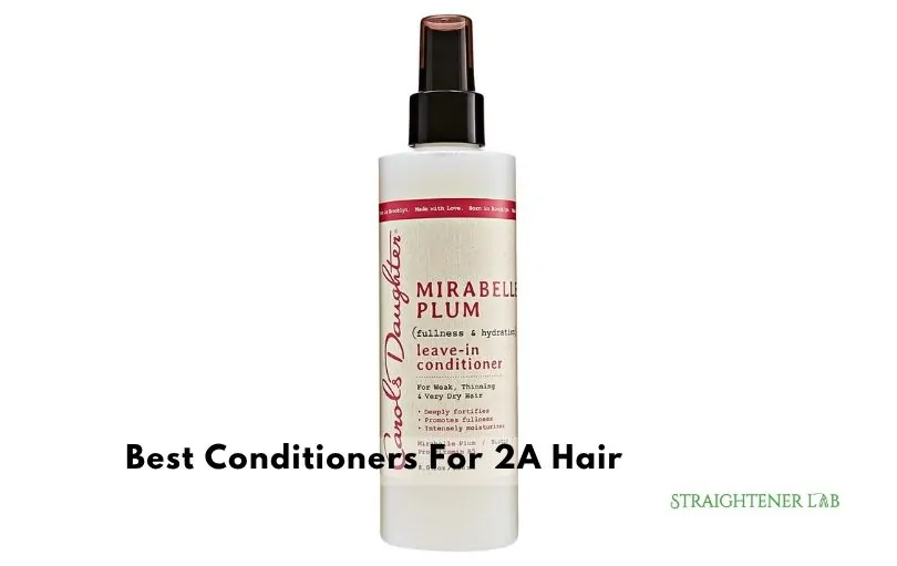 best conditioners for 2a hair